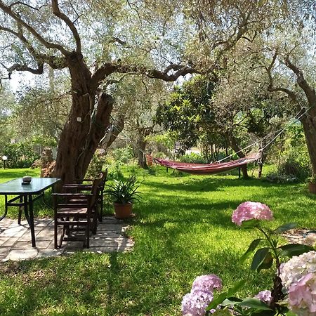 Hotel George Chrysi Ammoudia Quarto foto